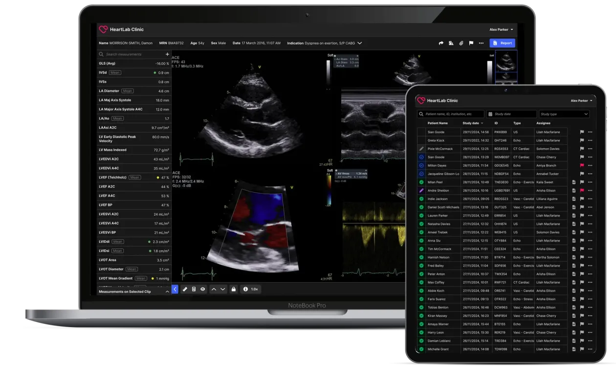 Multiple imaging modalities in the HeartLab workspace